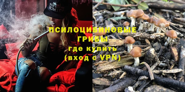 метадон Арсеньев